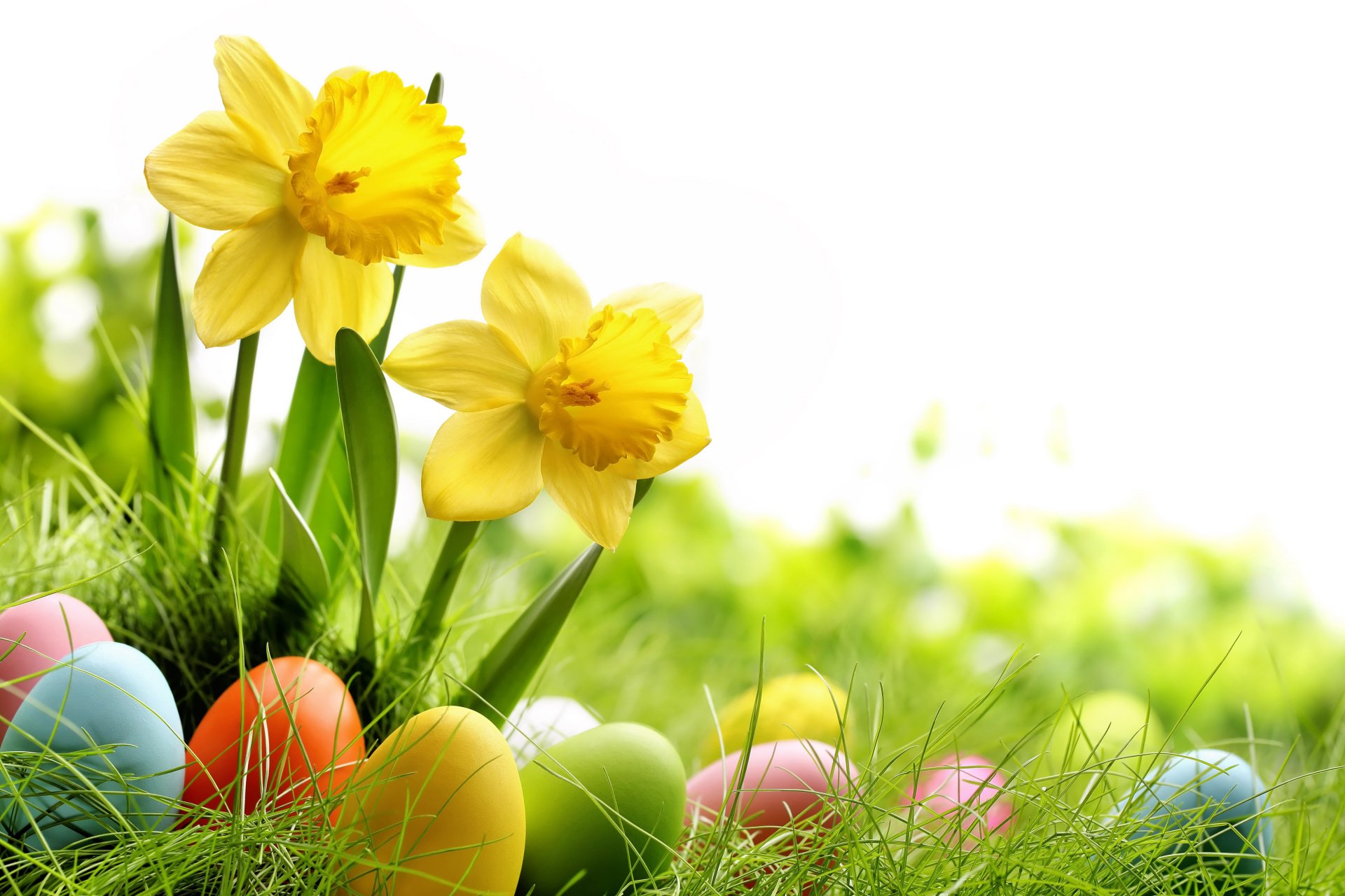Buona Pasqua